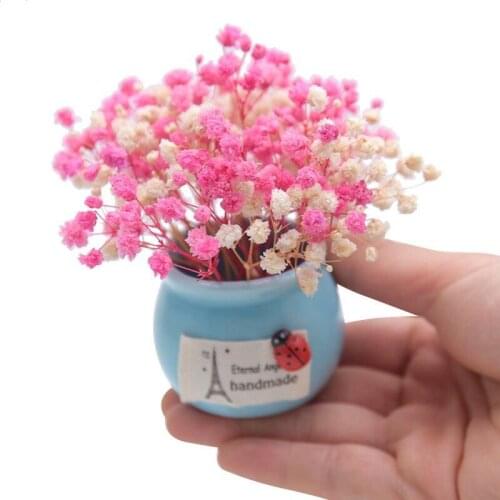 Northern Europe Simple and romantic gypsophila dried flower mini decoration with vase office decor Car potted home decoration
