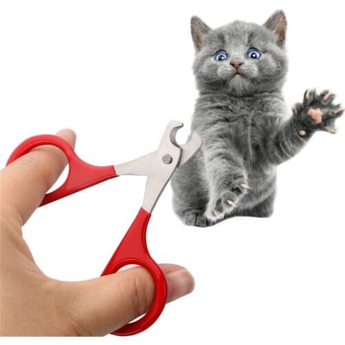1pcs Sharp Professional Pet Dog Puppy Nail Clippers Toe Claw Scissors Trimmer Pet Grooming Products For Small Dogs Cats Puppy