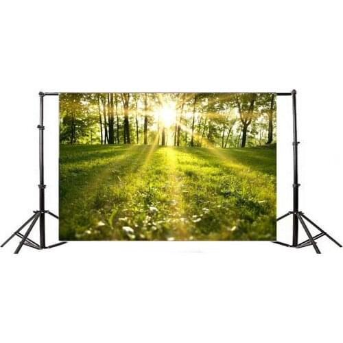 Photography Backdrop Nature Sunshine Grass Field