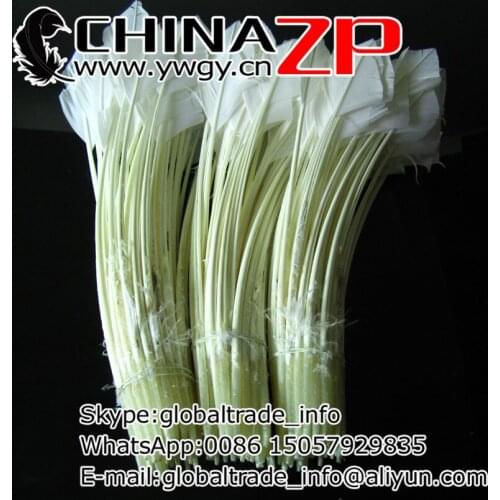 CHINAZP Factory 200pcs/lot Best Selling Arrow Shaped WhiteTurkey Rounds Quill Feathers