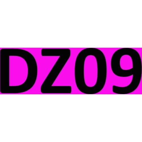 20pcs DZ09 Smart Watch With Camera Bluetooth Wristwatch SIM Card Smartwatch For apple Ios Android Phones support Multi languages