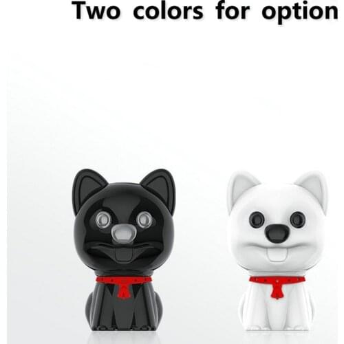 LANPICE Digital Voice Recorders