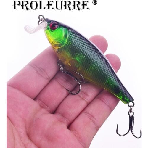 Proleurre 1pcs Crankbait Fishing Lure 14.5g 10cm Floating Minnow Hard Swim Bait Professional Artificial Fishing Wobbler Pesca