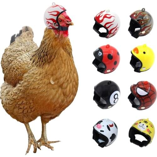RBCFHl 3PCS Chicken Helmet Small Pet Hard Hat Bird Duck Quail Hat Headgear Pet Chicken Helmet Bird Head Helmet Pet Supplies