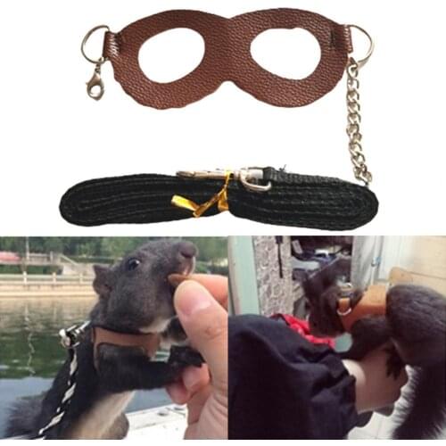 Squirrel Harness Anti-knot Anti-biting Faux Leather Pet Leash Chest Strap for Daily Life Walking Collars Accessories Supplies