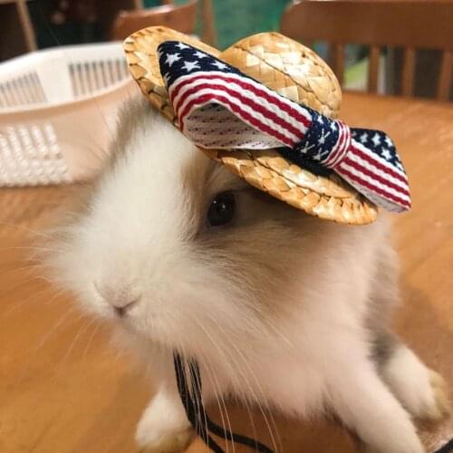 Portable Pet Bucket Hat Fine Weaving Workmanship American Flag Pattern Dress-up Adjustable Fashion Pet Lizard Straw Hat