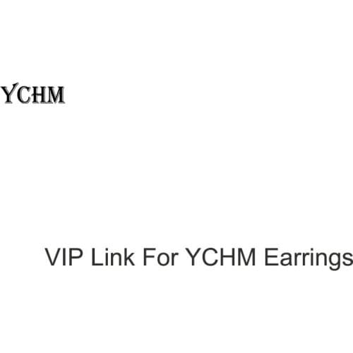 VIP Link for C Earings Fashion Jewelry 2021 Luxury Jewelry YCHM