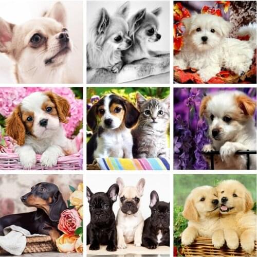 Full Square Round Diamond Painting Dog 5D DIY Animal Diamond Embroidery Cross Stitch Kit Handmade Gift Home Decoration