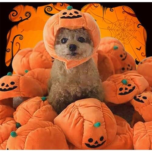 Halloween Cute Pumpkin Pet Dog Cat Hat Demon Cosplay Costume Funny Party Decorative Hats for Small Dog Cat Pet Accessoires Sale
