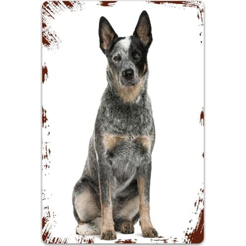 Metal Signs,Australian Cattle Dog,Tin Sign Wall Iron Painting Wall Decor Art Retro Plaques Poster Hanging Decoration