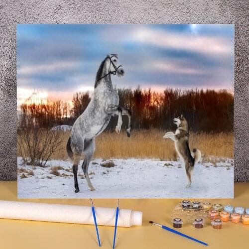 Animal Dog Husky Painting By Numbers Set Picture By Numbers Photo New Design DIY Painting By Numbers Art