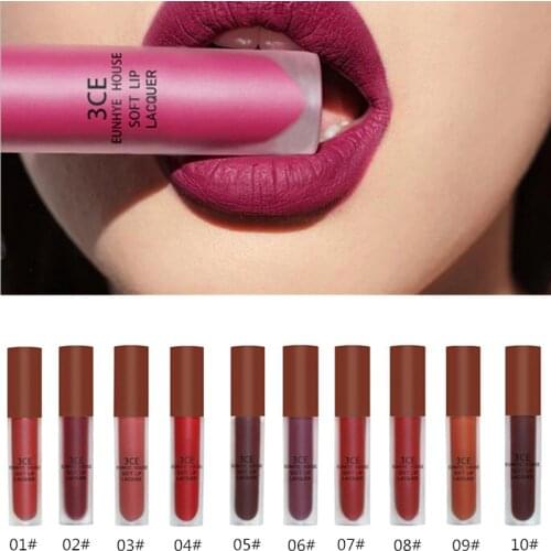 DANNYHOO Matte Lip Gloss