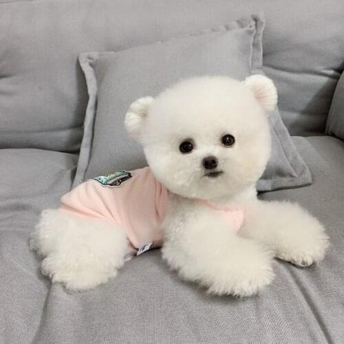 XXS Small Dog Clothes Summer Dog Vest Skirt Cat Chihuahua Yorkshire Puppy Apparel Poodle Bichon Pomeranian Schnauzer Clothing