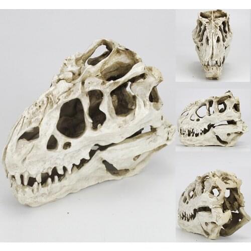 Tyrannosaurus Dinosaur Skull Model Figurine Sculpture Craft Statues School Medical Halloween Decoration Gifts Dinosaur Skull