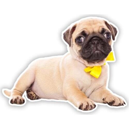 B0697 Self-adhesive Decal Pug Car Sticker Waterproof Auto Decors on Bumper Rear Window Laptop Helmet