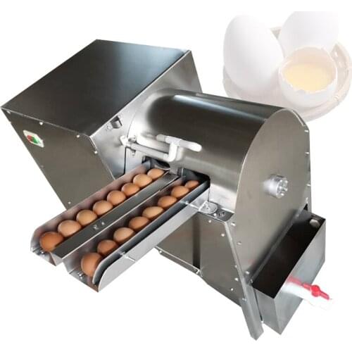 Goose Egg Cleaning Machine Chicken Egg Washer For Sale Duck Egg Washing Manufacturer Double Row