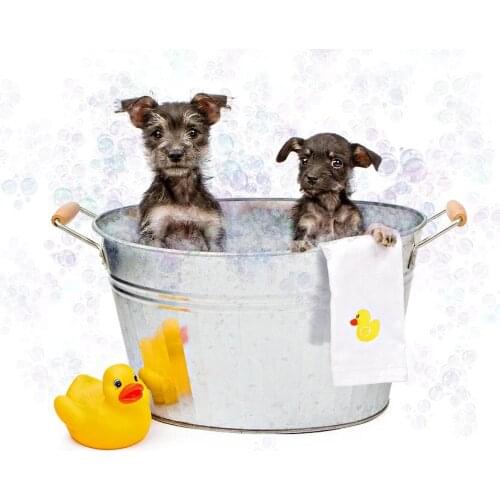 JMINE Div 5D Bath Bathroom Dog Full Diamond Painting cross stitch kits art High Quality Animal 3D paint by diamonds