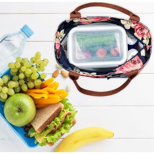 Insulated Lunch Bag Lunchbox Cool Bag for Lunch Boxes Tote Waterproof Shopping Handbag , for Women College Work Picnic Travel