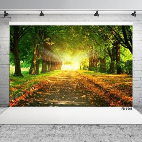 Photo Background Trees Fallen Leaves Path Computer Printed Photography Backdrops for Portrait Children Baby Photoshoot Props