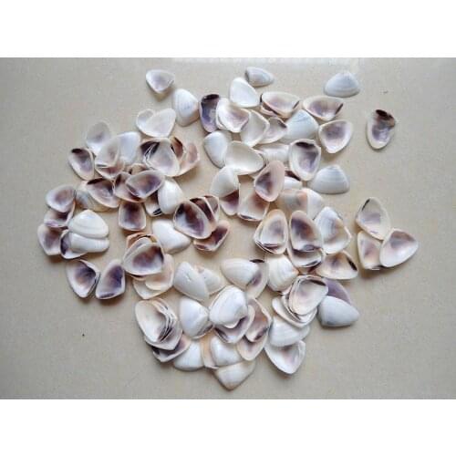 HappyKiss Natural crafts sallei conch shell coral wall stickers yangtz decoration small shells sea shell