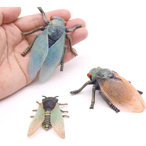 Wild simulation cicada model insect small ornaments decorative crafts