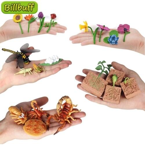 Simulation Plant Mini Flower Model Insect Animal Figure Toy Growth Cycle Hand Made Rose Orchid Daffodil Tulip Lotu Sunflower Toy