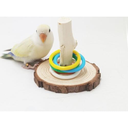 LEZIZI Bird Rings