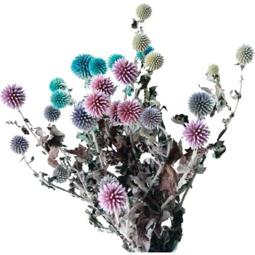 1 Bunch Fresh Blue Planet High Quality Preserved Dried Flower Photograph Home Desktop Office Garden Wedding Christmas Decoration