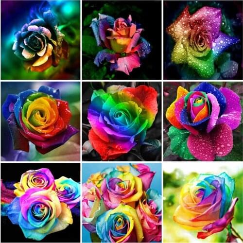 Huacan Diamond Mosaic Embroidery Color Rose 5D Diamond Painting New Square Rhinestones Flower Beaded Pictures Home Decoration