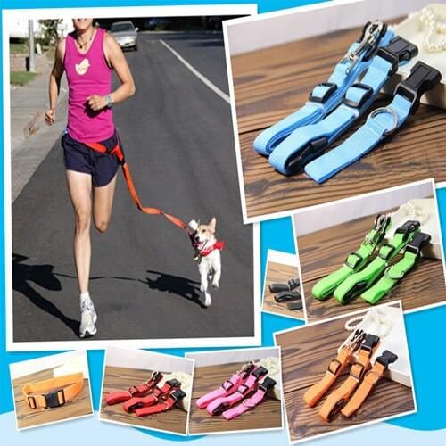50Pcs/Lot Pet Products Hauling Lead Leash Dog Collars Traction Belt Dog Traction Rope
