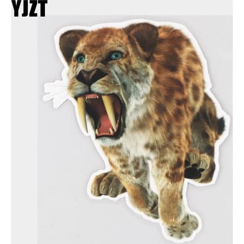 YJZT 13.4×16CM Wild Saber-Tooth Cat Animal Waterproof Decals Funny Decoration Car Sticker 21A-0131