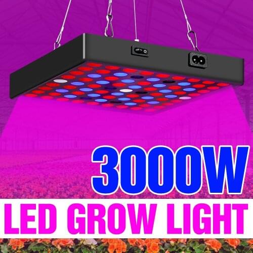 3000W Indoor 220V LED Grow Lights Phyaolampy For Plant LED Panel Bombilla Plant Seeds Bulb Hydroponics Lampara Growth Tent 2000W