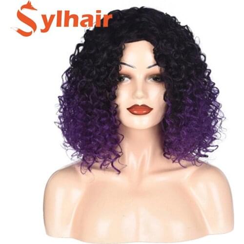 Short Afro Kinky Curly Wig Synthetic Wigs For Black Purple Women Heat Resistant Fiber Mixed Brown and Blond Hair Sylhair