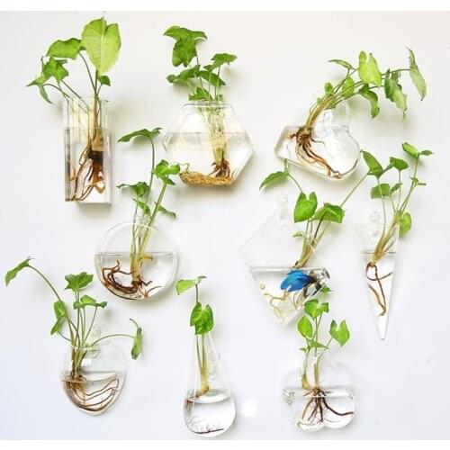 8 Shapes DIY Clear Hanging Glass Vase Flower Plants Terrarium Wall Fish Tank Aquarium Container Homw Decor