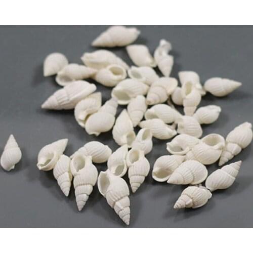 20pcs Natural shell meter screw white rice screw diy material sea shells conch party