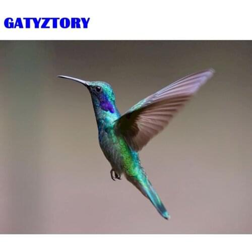 GATYZTORY 40x50cm Oil Paint By Numbers Hummingbird Animal Picture By Number Diy Framed On Canvas Home Decoration Artcraft