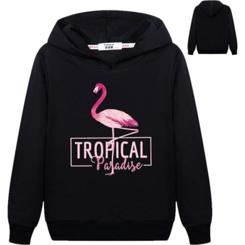 Girls Pink Flamingo Bird Animal Hooded Sweatshirt Long Sleeve Elegant Cotton Pullover Hoodies Cartoon Student Tracksuit