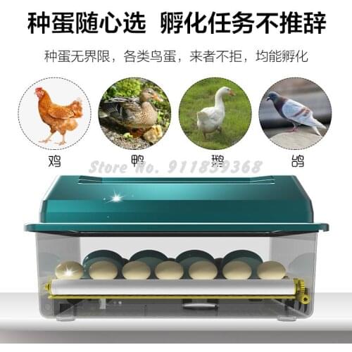 Hatching Machine Hatching Machine Hatching Machine Hatching Machine Hatching Machine Hatching Machine Hatching Machine Hatching