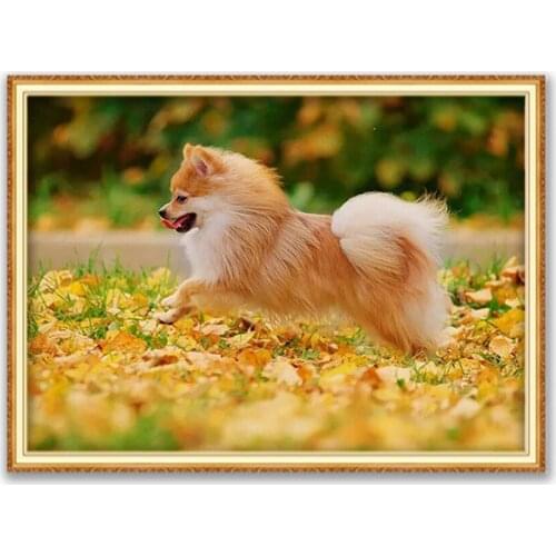 Animal Dog Pomeranian DIY Embroidery 11CT Cross Stitch Kits Needlework Craft Set Printed Canvas Cotton Thread Home Decoration