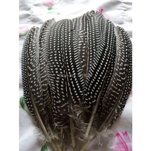 Wholesale 200pcs high quality natural guinea fowl feather 12-17cm / 5-7inch Decorative diy