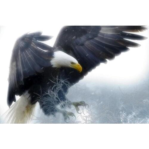Full Square/Round 5D DIY Diamond Painting Accessories Bald Eagle picture of Rhinestone Diamond Embroidery wall decoration FG1768