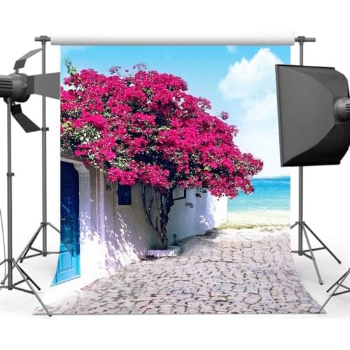 Red Flower Summer Sandy Beach Backdrop Blue Sky Sea Photography Background House S-173