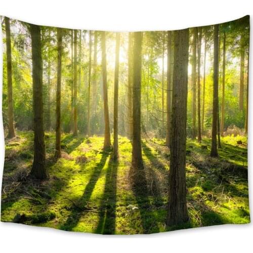 Psychedelic Forest Tapestry Wall Hanging Wall Tapestry Blanket Farmhouse Decor Window Tapestry Headboard Polyester Yoga Shawl