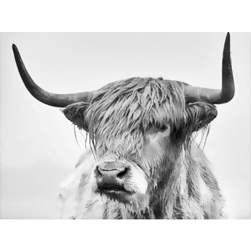 40x50cm Painting By Numbers Kits Animal cow Oil Paints Acrylic Cnavas Home Bedroom Wall Artcraft Picture