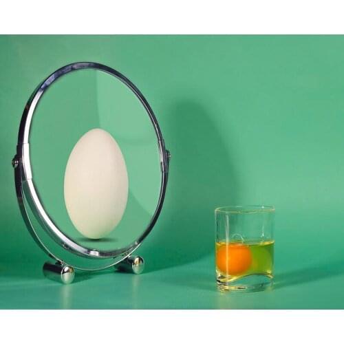 DIY Painting By Numbers Eggs in the mirror Kit Oil Picture By Numbers Animal Wall Art Painting on Canvas Home Decoration Gift