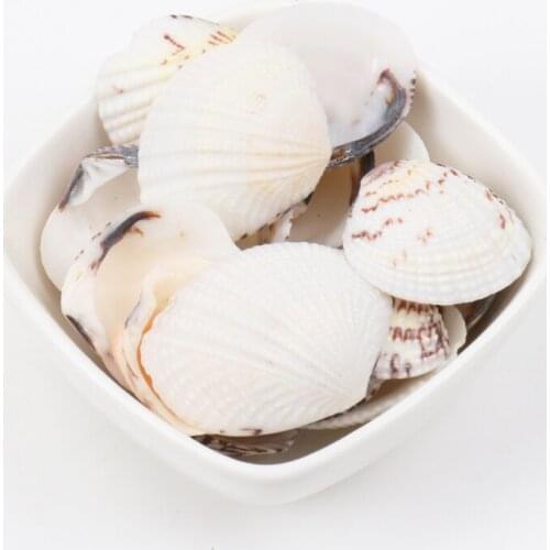 25-32mm Natural Spiral Shell Loose Beads for jewelry making DIY 20pcs TRS0127