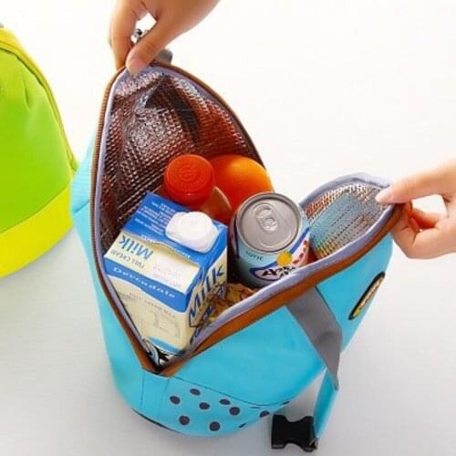 Portable Insulated Bag Outdoor Picnic Storage Lunch Box Holder Food Thermal Carrier Kids Women Travel Tote Waterproof Container