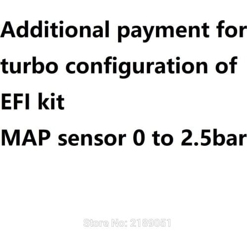 Additional payment for turbo configuration of EFI kit (turbocharger or supercharger)