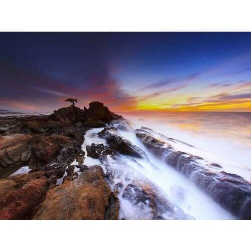 Coast Seascape Sunset Tree Picture Art Film Print Silk Poster Home Wall Decor 24x36inch