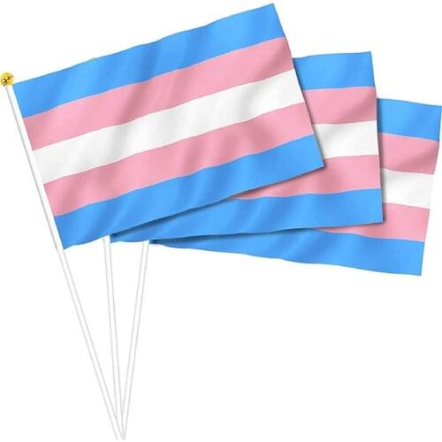Transgender Hand Flag Rainbow Gay Pride Small Held Waving LGBT Banner Stick Plastic Flagpoles For Sports Parade Festival Party
